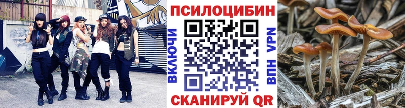 Псилоцибиновые грибы ЛСД  Удачный 